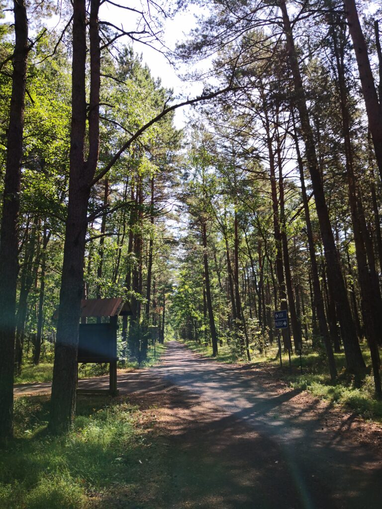 Radweg durch Wald